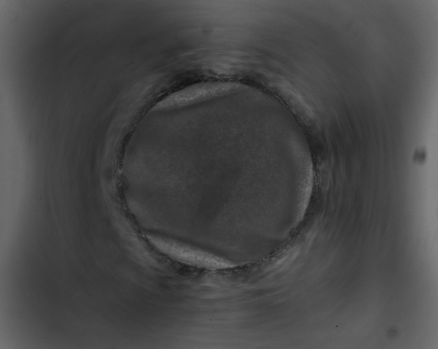 X0000102821009200809021245