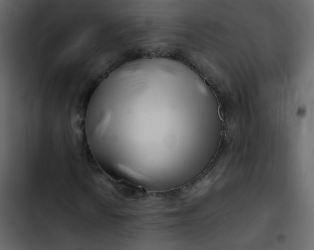 X0000102821010200809021245