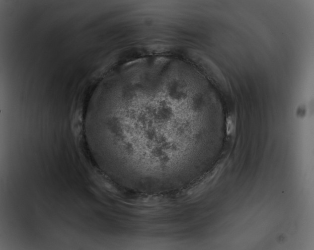 X0000102821011200809021245