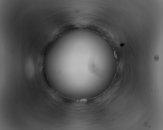 X0000102821012200809021245
