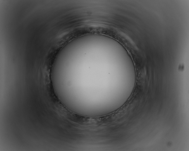 X0000102821013200809021245
