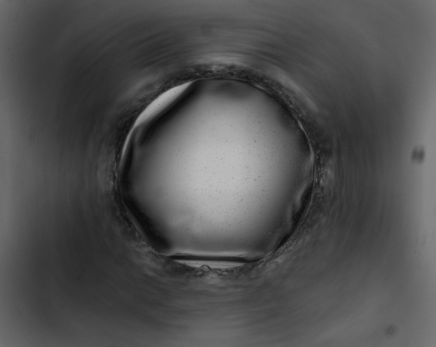 X0000102821014200809021245