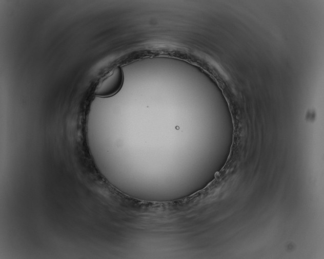 X0000102821016200809021245