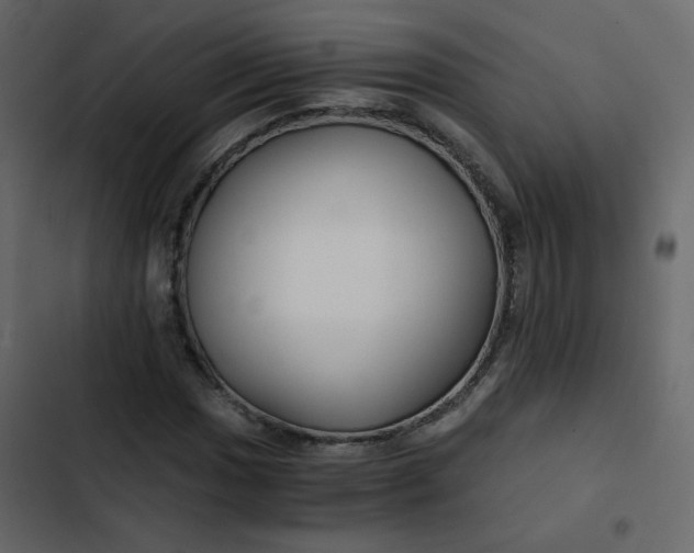 X0000102821017200809021245