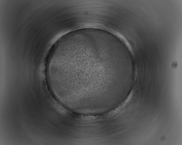 X0000102821019200809021245