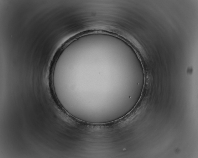X0000102821020200809021245