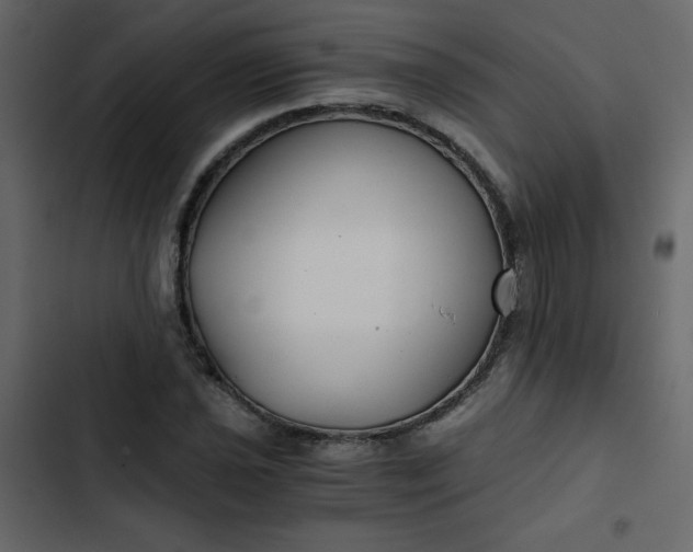 X0000102821021200809021245