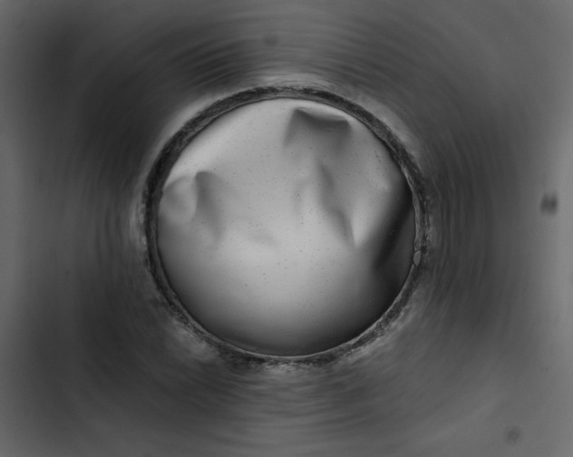 X0000102821022200809021245