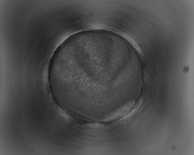X0000102821023200809021245