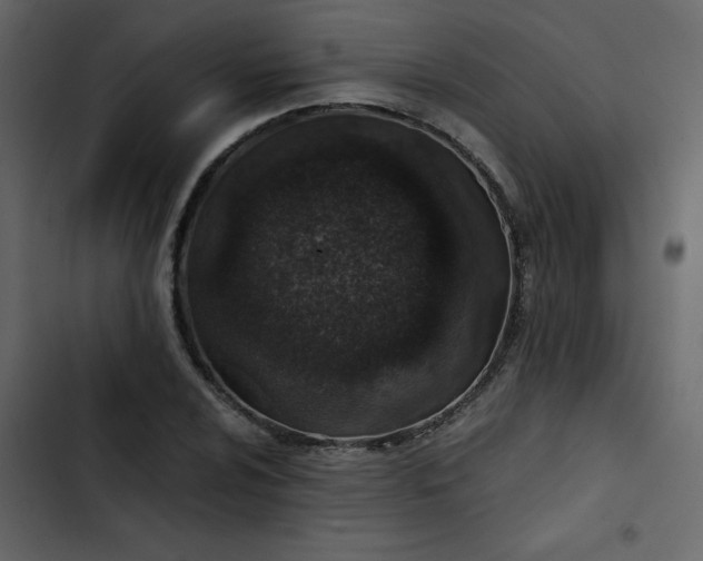 X0000102821024200809021245