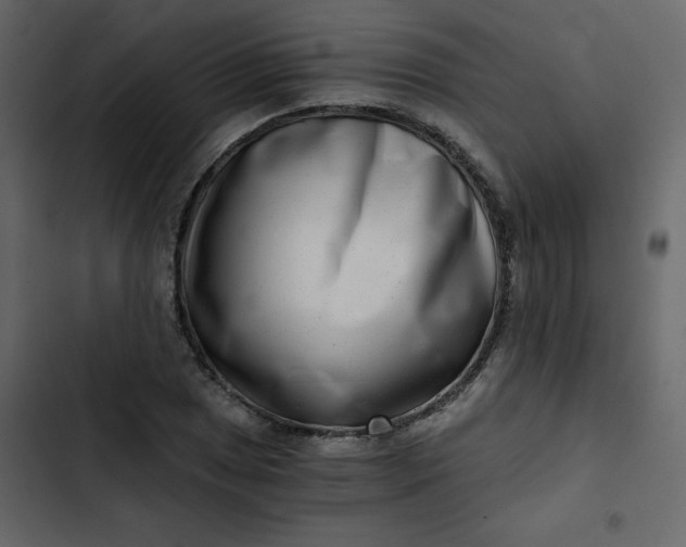 X0000102821025200809021245