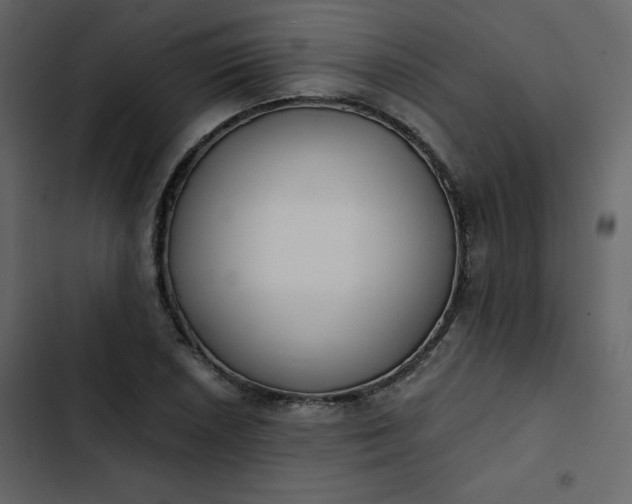 X0000102821026200809021245