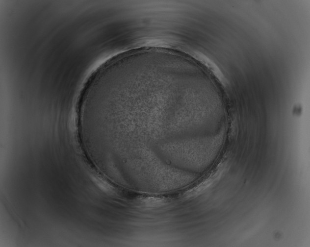X0000102821027200809021245