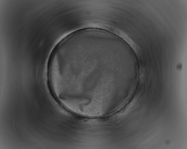 X0000102821028200809021245