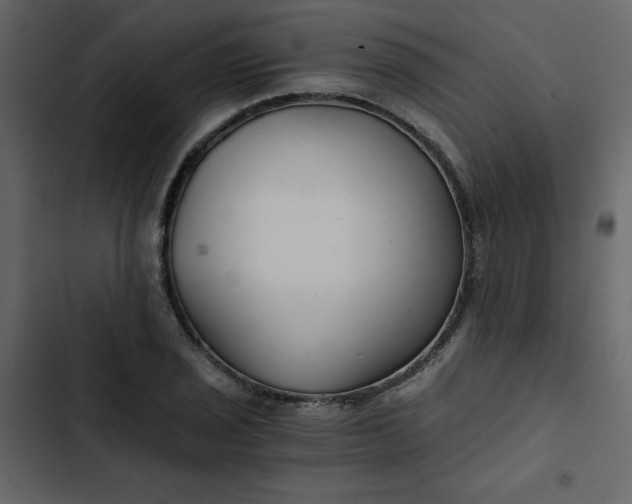 X0000102821029200809021246