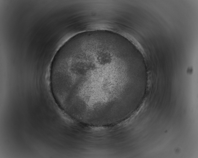X0000102821031200809021246
