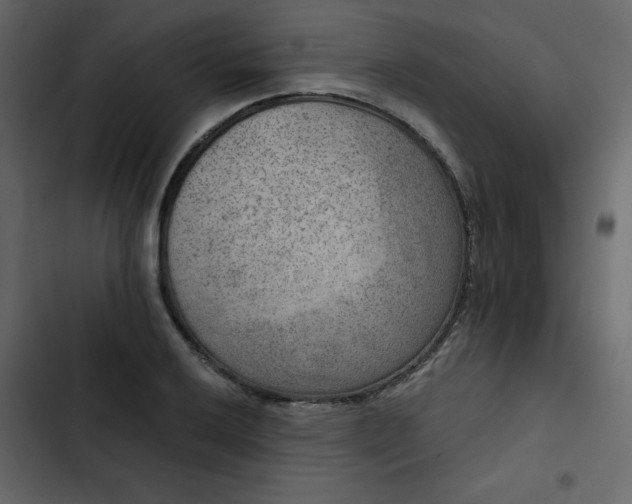 X0000102821032200809021246