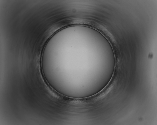 X0000102821033200809021246