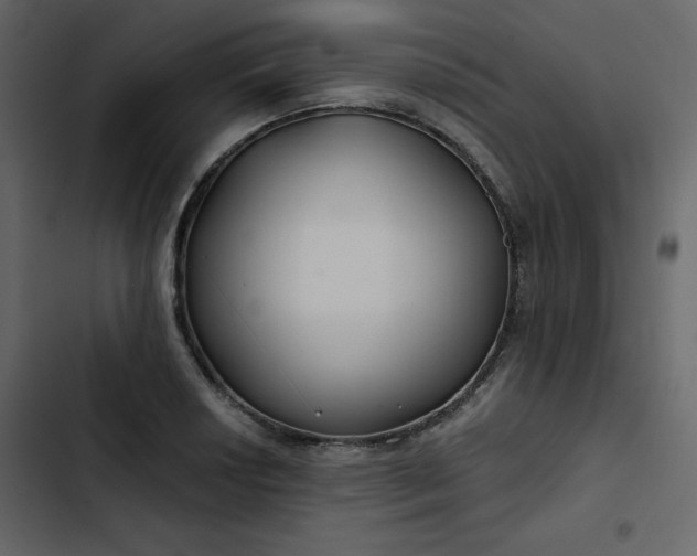 X0000102821034200809021246