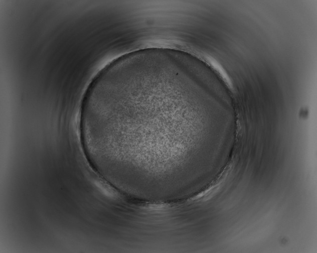 X0000102821035200809021246