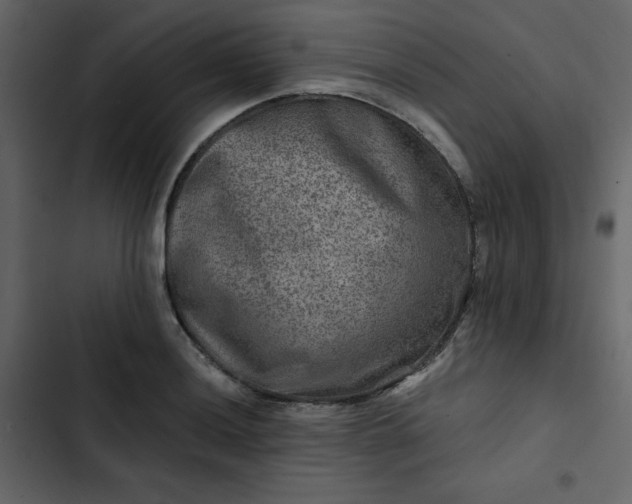 X0000102821036200809021246