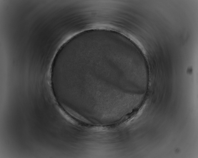 X0000102821037200809021246