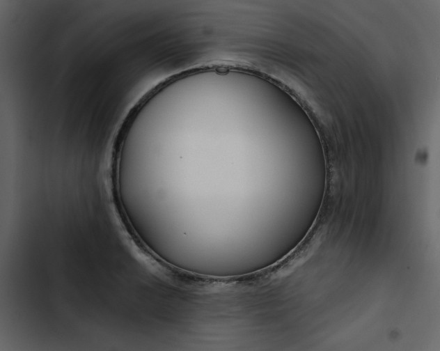 X0000102821038200809021246