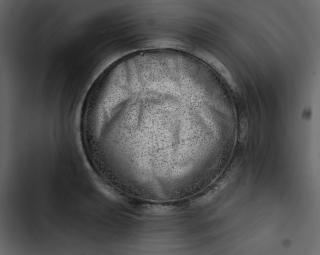 X0000102821039200809021246