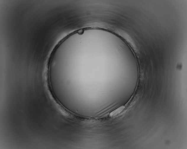 X0000102821040200809021246