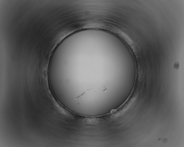 X0000102821041200809021246