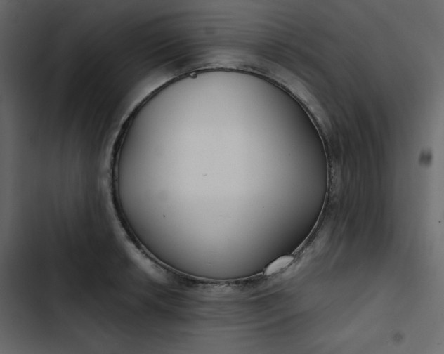 X0000102821042200809021246