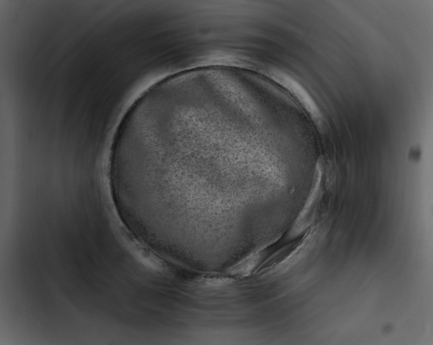 X0000102821043200809021246