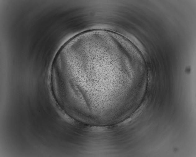 X0000102821044200809021246