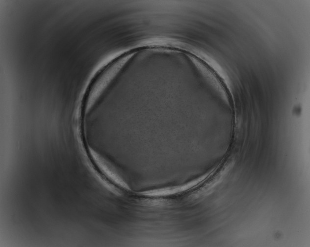 X0000102821045200809021246
