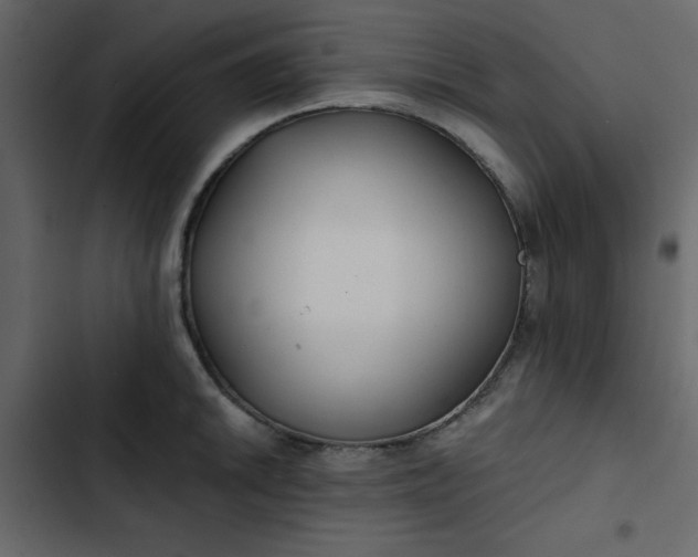 X0000102821046200809021246