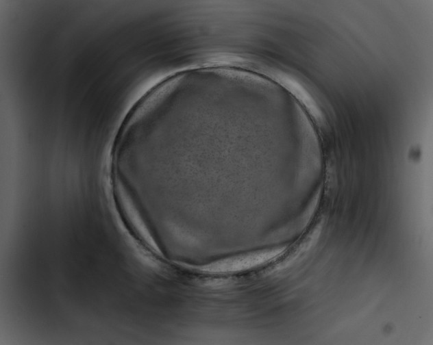 X0000102821047200809021246