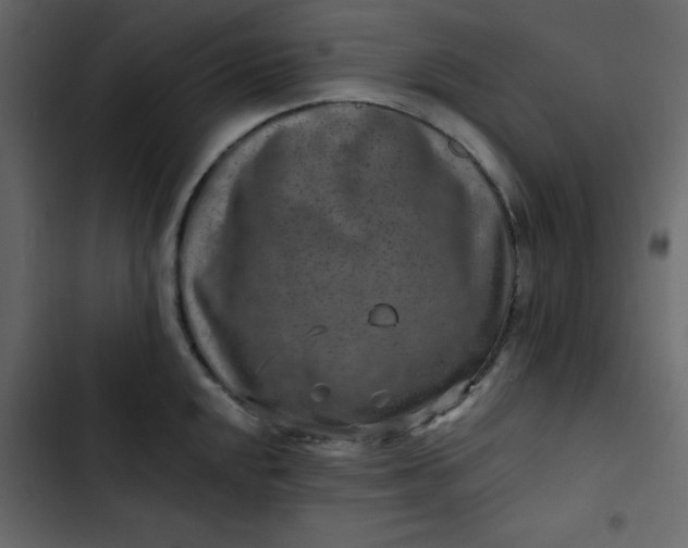 X0000102821048200809021246