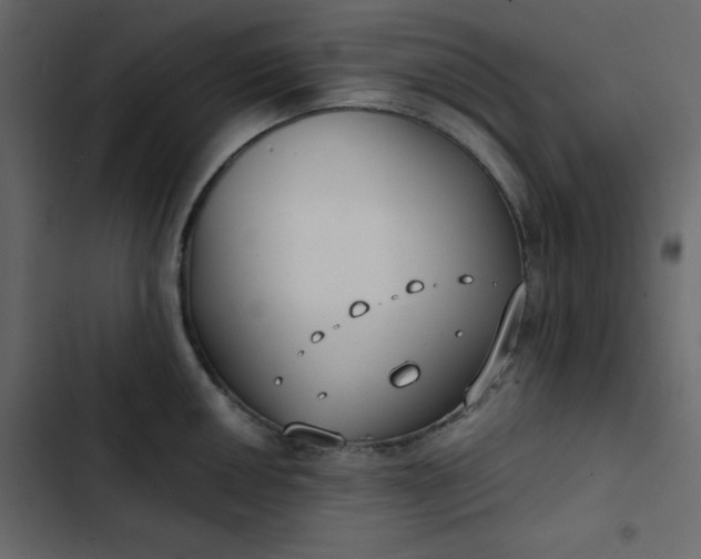 X0000102821050200809021246
