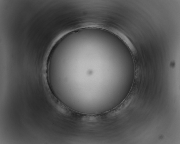 X0000102821051200809021246