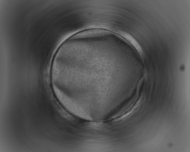 X0000102821052200809021246