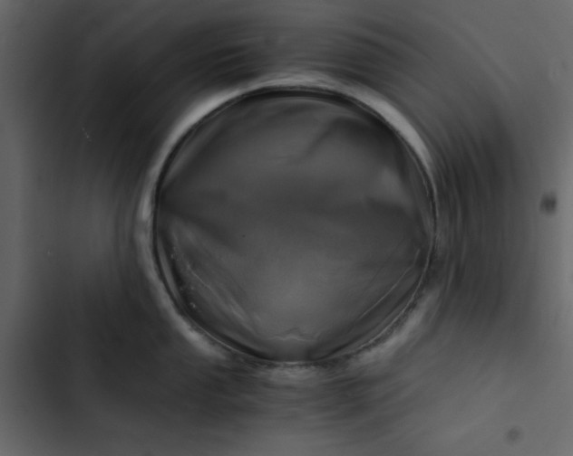 X0000102821053200809021246