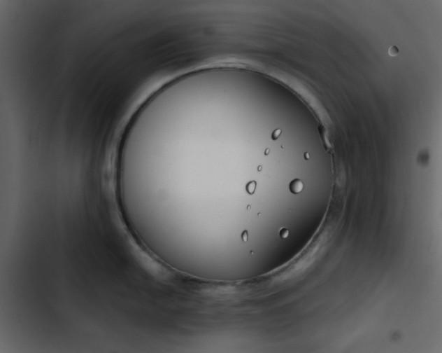 X0000102821054200809021246
