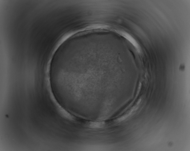 X0000102821055200809021246