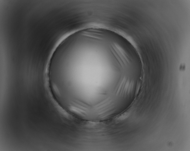 X0000102821056200809021246