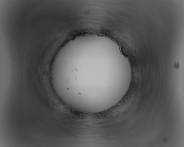 X0000102821057200809021245
