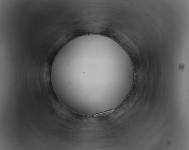 X0000102821058200809021245