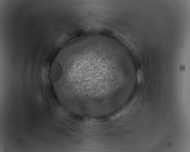 X0000102821059200809021245