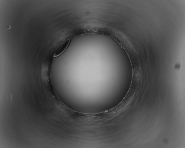 X0000102821060200809021245