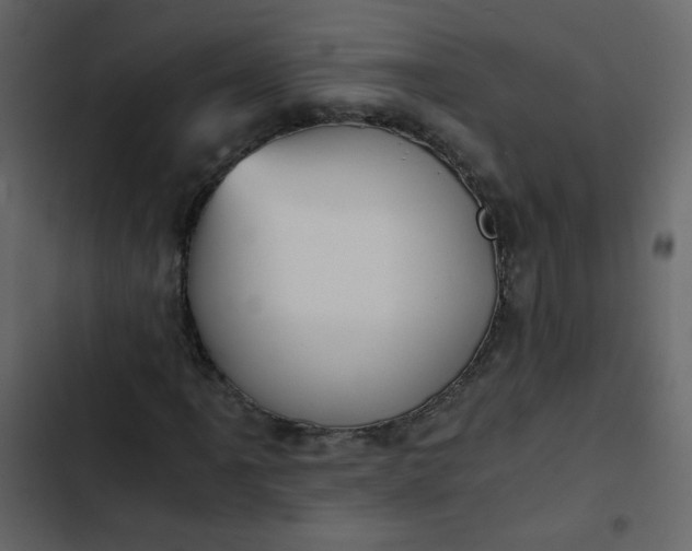 X0000102821061200809021245