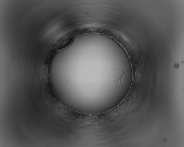 X0000102821062200809021245